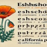 How To Say Eschscholtzii Pronunciation In Spanish